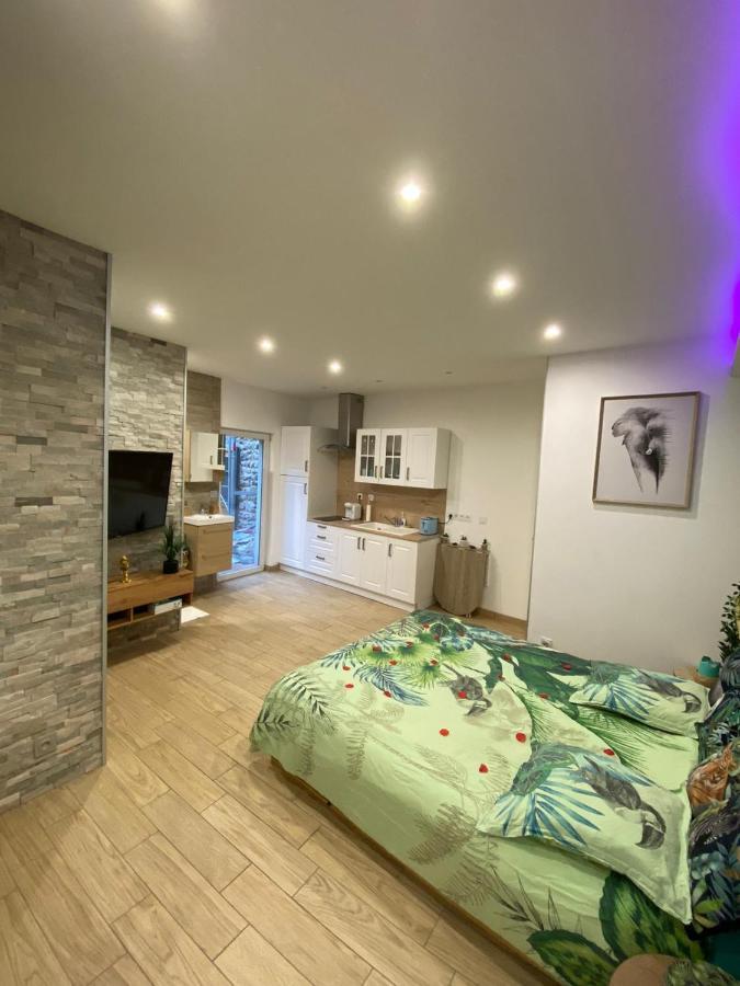 Le Menhir 2 Jacuzzi Spa Terasse Barbecue La Roche-Blanche  Exterior foto